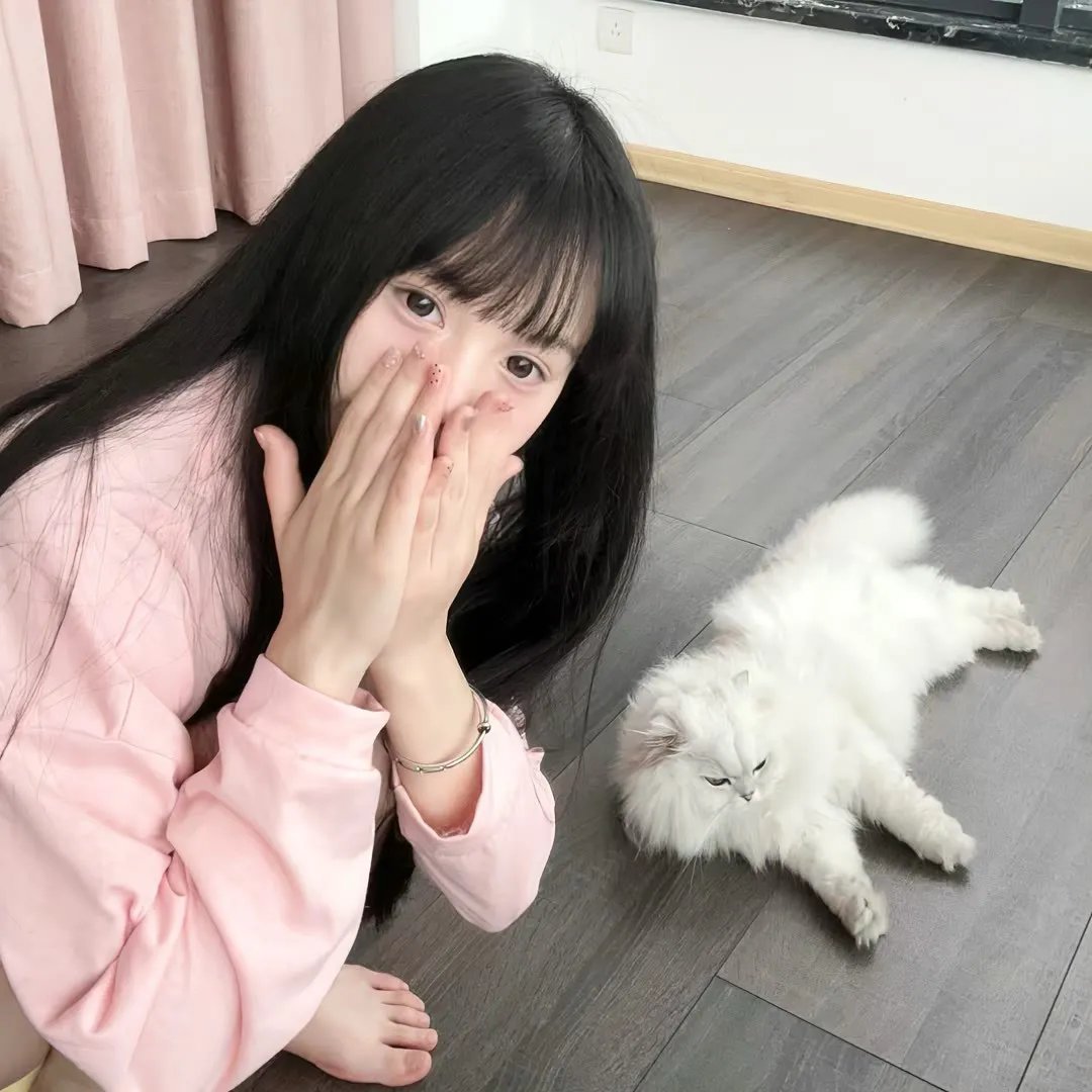 绯色战姬