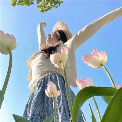 仙女座报告