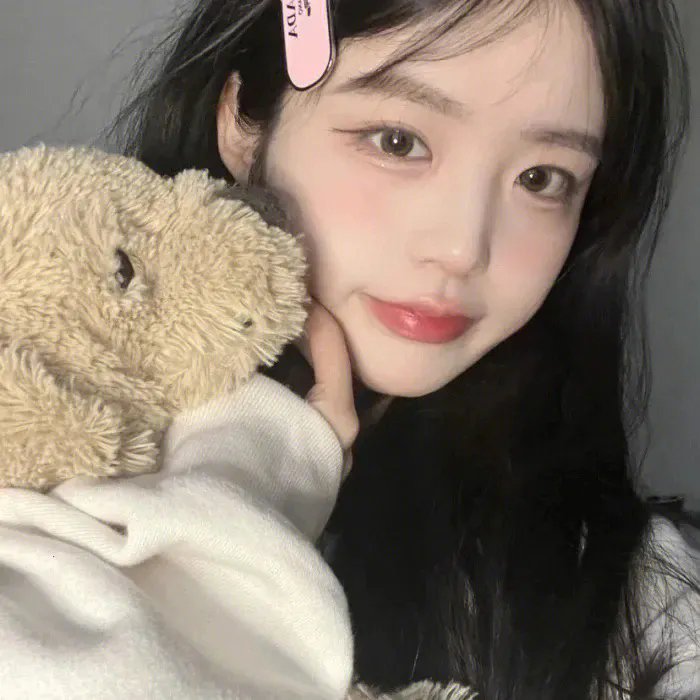 一条狗的回家路